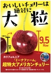 hanako (nishi1226)さんの青果売場に飾る「チェリーは大粒がおいしい！」ポスターへの提案