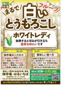 hanako (nishi1226)さんの白いとうもろこしの説明チラシへの提案