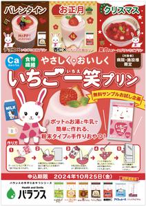 hanako (nishi1226)さんのいちごプリンの素 DMチラシ制作依頼への提案
