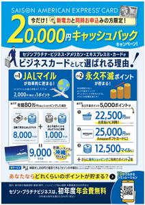 hanako (nishi1226)さんのクレジットカード販促チラシへの提案