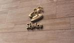 tog_design (tog_design)さんのドローンシミュレーター｢SkyAce｣のロゴ制作への提案