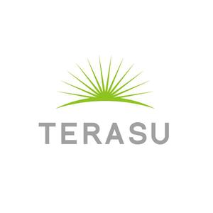 waami01 (waami01)さんの電気工事会社「TERASU」のロゴへの提案