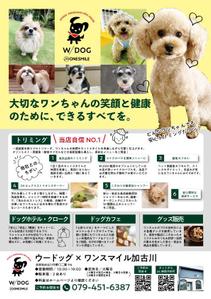 toshimi (crazymoon_tsm)さんのドッグサロン「Ｗ／ＤＯＧ（ウードッグ）」の集客チラシへの提案