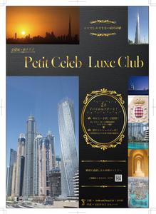 Smart-Egg (5cb2bb67eef1b)さんのセレブ体験ができる旅クラブの会員を募るため、リーフレットの作成をお願いしますへの提案