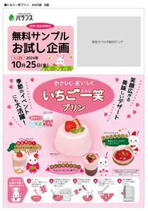 Mac (ChisakoM)さんのいちごプリンの素 DMチラシ制作依頼への提案