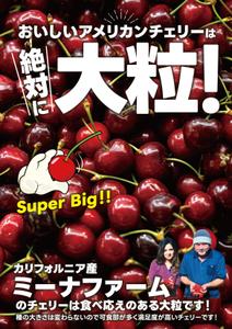 birz (birz)さんの青果売場に飾る「チェリーは大粒がおいしい！」ポスターへの提案
