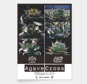 AMALGAM design (AMALGAM)さんのアガベ(植物)のイベントポスターをお願いします。への提案