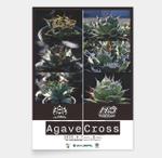 AMALGAM design (AMALGAM)さんのアガベ(植物)のイベントポスターをお願いします。への提案