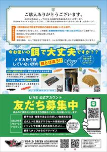 mados (mados)さんのメダカ屋の同梱チラシの作成依頼への提案