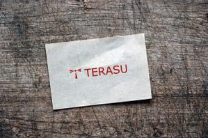 Fowmas.Design (fowmas_23)さんの電気工事会社「TERASU」のロゴへの提案