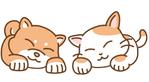 まのあやか (bipomaru)さんのぬいぐるみや雑貨に使用するネコとイヌのオリジナルキャラクター募集への提案