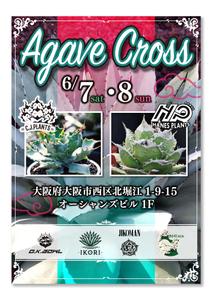 FREEDIA WORKS (freedia_works)さんのアガベ(植物)のイベントポスターをお願いします。への提案