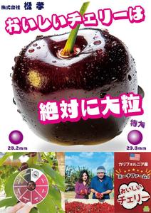 arie (arie7)さんの青果売場に飾る「チェリーは大粒がおいしい！」ポスターへの提案