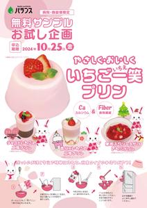 gaku 2525 (gaku2525)さんのいちごプリンの素 DMチラシ制作依頼への提案