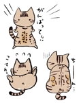 AKITO (Akitohsn)さんの既存のイラストデザイン（ペットのベンガル猫）を元に、LINEスタンプを16個作成への提案