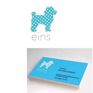 marukei (marukei)さんの株式会社「eins」のロゴへの提案