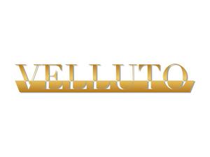 SHIDESIGN (aiaiai0908)さんの高級車販売　VELLUTO のロゴへの提案