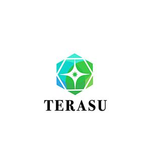 Pithecus (Pithecus)さんの電気工事会社「TERASU」のロゴへの提案