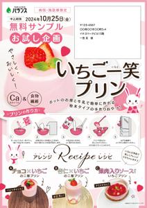 tsumaru (tsumaru_d)さんのいちごプリンの素 DMチラシ制作依頼への提案