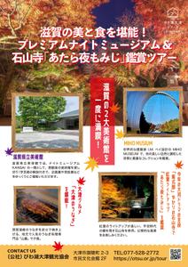 The Edge (Edge_01)さんの滋賀県立美術館ナイトツアー募集チラシへの提案