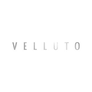 miv design atelier (sm3104)さんの高級車販売　VELLUTO のロゴへの提案