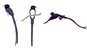 CUBE (cube1)さんの歯科医院のロゴの色調と「サンコウチョウ」に似せたキャラクターへの提案