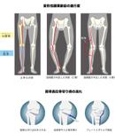 CUBE (cube1)さんの病院ホームページに掲載する手術図式イラストへの提案