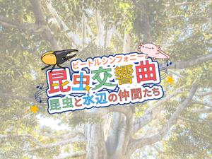 tsuki　design (Loup)さんの昆虫交響曲（ビートルシンフォニー）〜昆虫と水辺の仲間たちー　のイベントのロゴへの提案