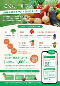 AO design (tomotomo2975)さんの有機野菜販売の新事業に関するLINE公式アカウント登録お願いのチラシへの提案