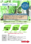 鈴木 里美｜セールスコピーライター (sesuji1993)さんの観葉植物レンタルPRのチラシへの提案