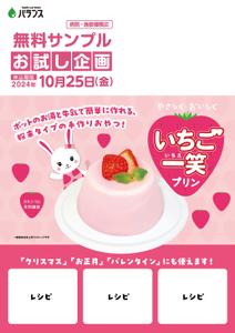 ノリヤマ (noritaro0123)さんのいちごプリンの素 DMチラシ制作依頼への提案