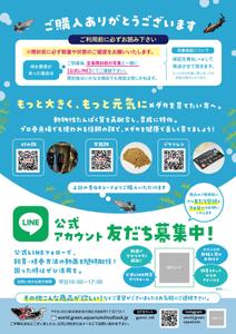ノリヤマ (noritaro0123)さんのメダカ屋の同梱チラシの作成依頼への提案