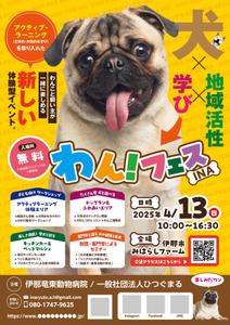 ノリヤマ (noritaro0123)さんの長野県伊那市で開催！犬フェス『わん！フェス INA』のチラシデザイン募集への提案