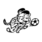 Tiger55 (suzumura)さんのサッカーブランドcrazy soccoerのキャラクター（チーター）のデザインへの提案