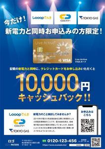 CoCco (CoCco)さんのクレジットカード販促チラシへの提案