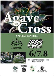 Ra (Ra__)さんのアガベ(植物)のイベントポスターをお願いします。への提案