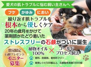 Ra (Ra__)さんのランディングページのヘッダーデザインへの提案