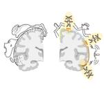 なないろ工房 (nanapoke)さんの一次運動野の脳地図（アップデート版）と、ペンフィールドの脳地図（1948）の対比図のイラストへの提案