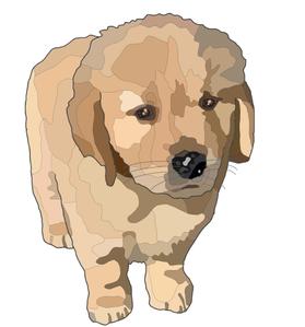 abistyam (abistyam)さんの舞台装飾に使用する犬のイラストへの提案