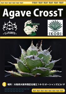 abistyam (abistyam)さんのアガベ(植物)のイベントポスターをお願いします。への提案