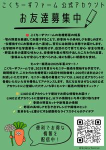 S-Design (sota460)さんの有機野菜販売の新事業に関するLINE公式アカウント登録お願いのチラシへの提案