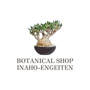 emilys (emilysjp)さんの塊根植物ショップ「稲穂園芸店」のロゴへの提案