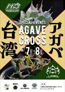 Ray_design (gamken)さんのアガベ(植物)のイベントポスターをお願いします。への提案