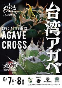 Ray_design (gamken)さんのアガベ(植物)のイベントポスターをお願いします。への提案