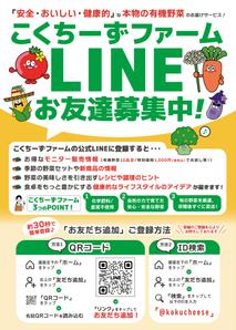 Snok_Design (Snok_Design)さんの有機野菜販売の新事業に関するLINE公式アカウント登録お願いのチラシへの提案