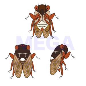 MEGA (MEGA)さんの【教育用】虫をモチーフとしたキャラクター制作　虫の指定ありへの提案
