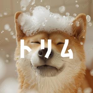 littlesense (littlesense)さんのペットのトリマーさん向け雑誌「トリム」の誌名ロゴへの提案