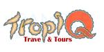 株式会社エルエルパレス／岩気裕司 (elpiy)さんのフィリピン・ダバオの観光ツアー「TropiQ Travel & Tours」のロゴへの提案
