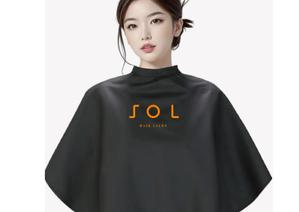 デザイン王子 (mishukurock)さんの美容室　SOL ロゴへの提案