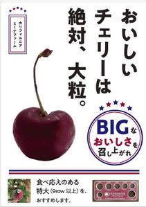 filo (filo_farm)さんの青果売場に飾る「チェリーは大粒がおいしい！」ポスターへの提案